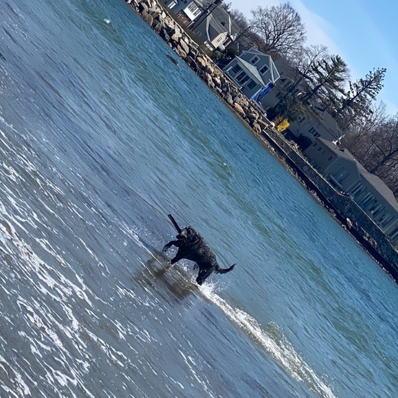 NEW INVENTORY 🌞 - Picture 11 of 15